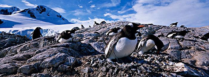 《合金装备：大师合集Vol.1》Steam评价“褒贬不一”